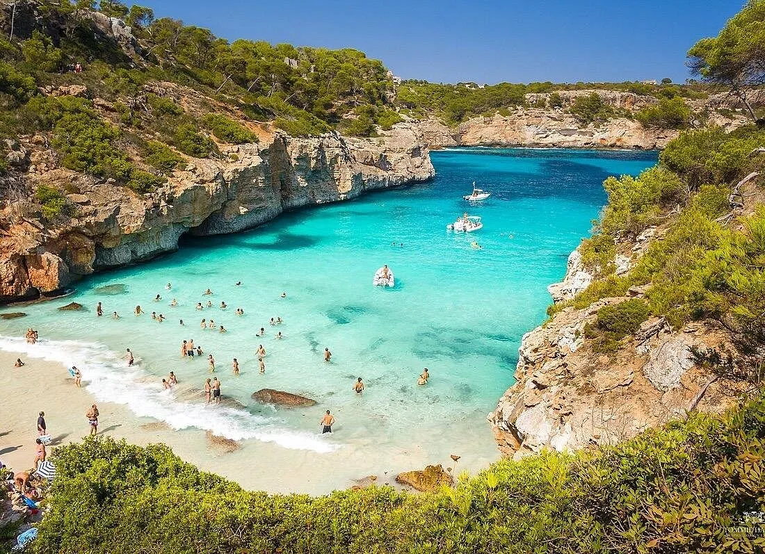 Cala de aguas turquesas en Mallorca rodeada de acantilados y pinos